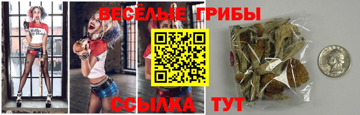 дарнет шоп  Галлюциногенные грибы GOLDEN TEACHER  Вход с VPN  Мытищи 